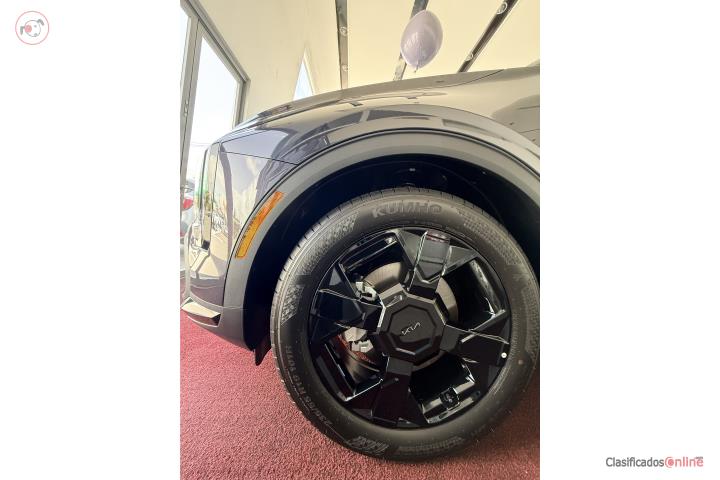 EL COLOR PANTHERA METAL SPORTAGE